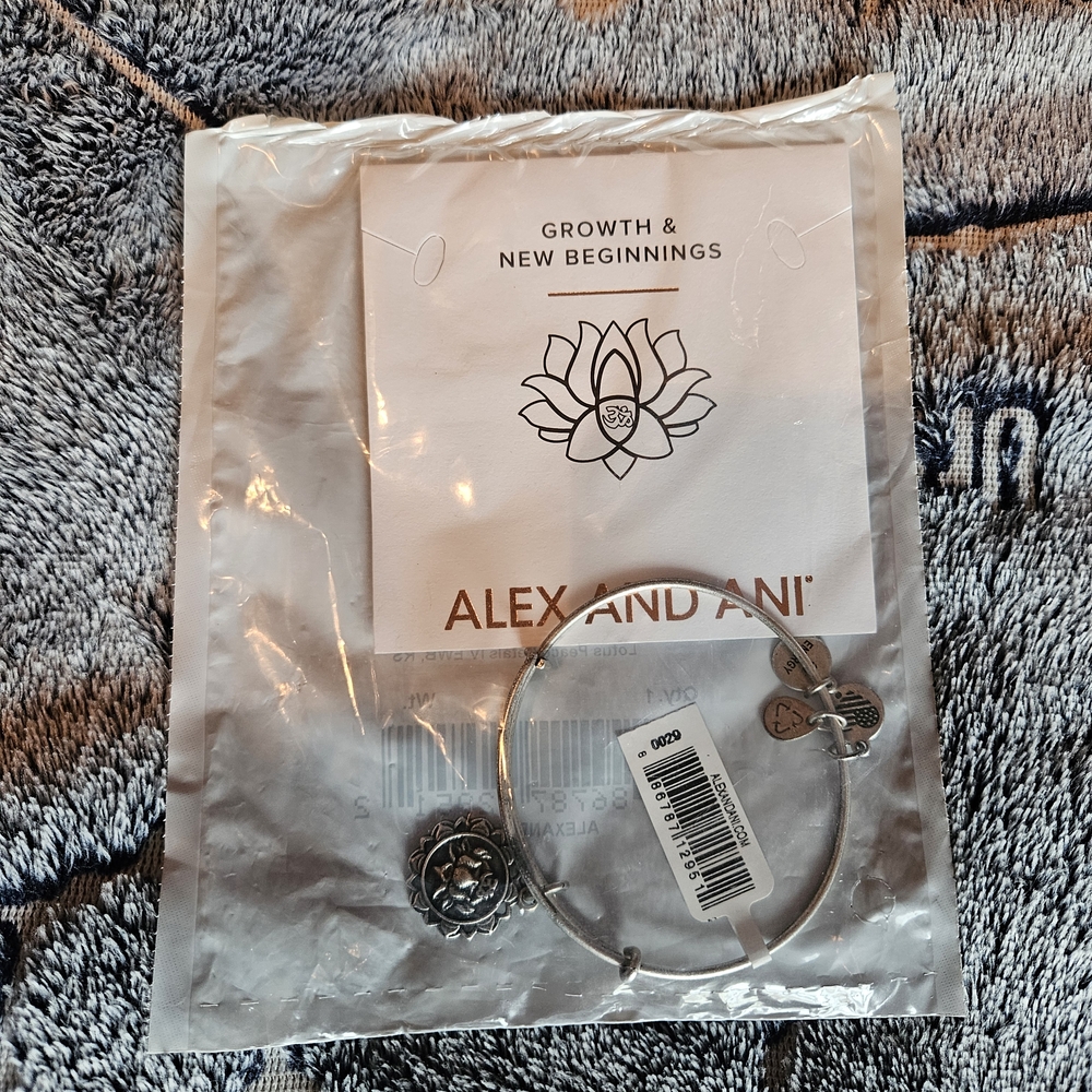 Alex and Ani Silver Charm Bracelet
